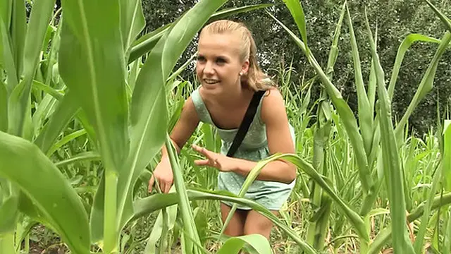 Blond lesbians passionately kiss and play with dildos in a field