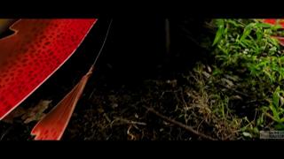 Raunchy Rear Entry Romp Down in the Dirt Drenched Debauchery