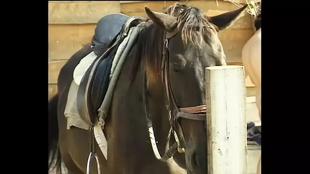 Blonde MILF gets pounded outside