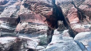 Exotic outdoors mistress devours rugged cock🌭 under starry skies