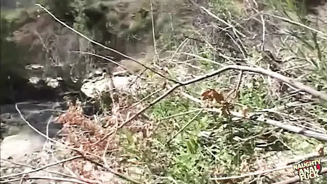 In the middle of the swamp &mdash;  he watched her and later pounded her hard