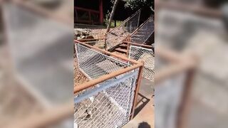 Amateur Teens Get Sucked Off by Strangers Outdoors