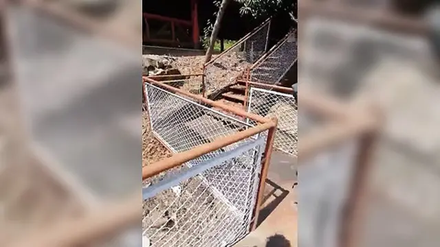 They Gave Me a Suck😜  Almost in Public 