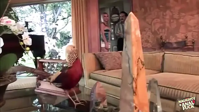 Cheating Spouse Delivers a Passionate Outdoor Anal👌 Session for the Curvy Blonde