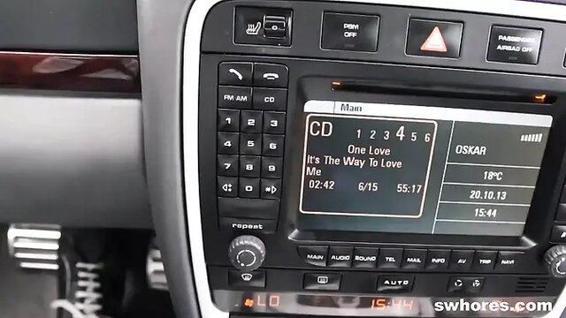 Cheap street whore gives best blowjob in the car