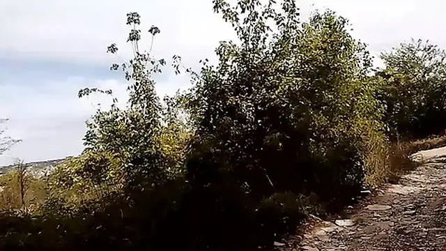 Wild Nature Fuck Extravaganza