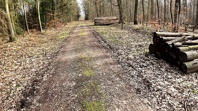 Pussy✌ Slapping Hike