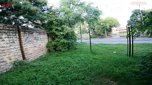 Raw &mdash;  reckless &mdash;  dual-hand BJ stunt in broad daylight &mdash;  courtesy of Dollscult′s daredevil duo