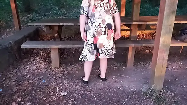 0017 Forest Encounter