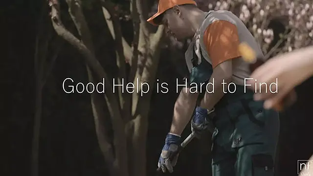 S16:e11 - Seeking Hot Haus Servants