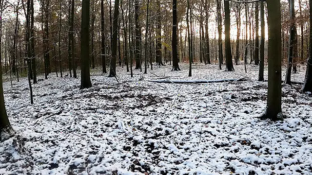 Snowballs on bare breasts in the forest