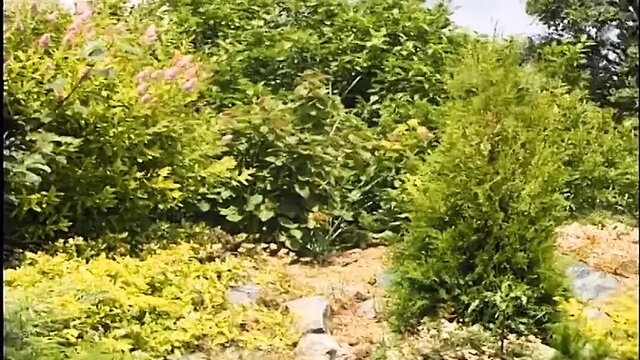 German sex club: Big-titted MILF takes kissed and fucked on the job