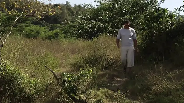 Two Cocks in the Wild