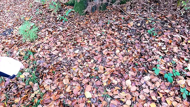 Expose Those Tits for a Firm Slap