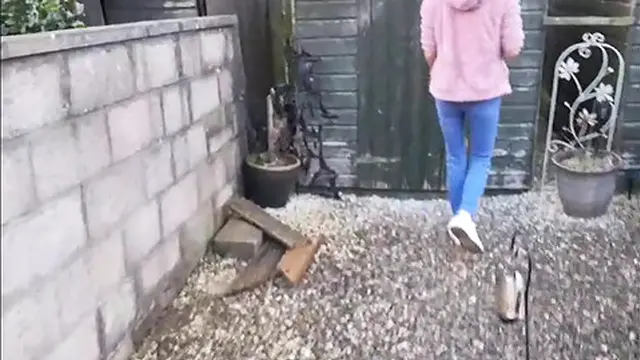 A Walk Through a Scottish Park