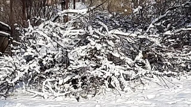 Solo female in public park gets off