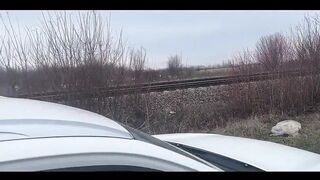 Grunt-Worthy Outdoor Blowjob Adventure