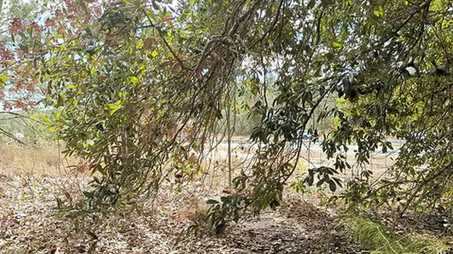 hot and wet by the road side