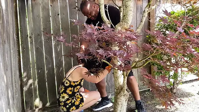 Wild Outdoor Garden Massage - Vanessa Cliff