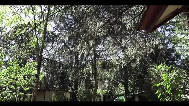 Overweight Girl at Fun Night