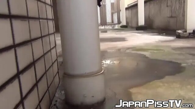 Hidden camera captures Japanese babes pissing in public