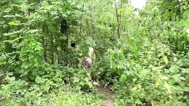 Teenie Hunter's busty office adventure