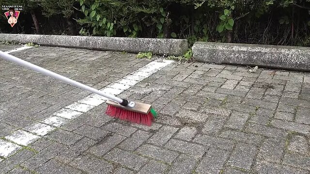Wild Beauties ride rough in the back of a wagon