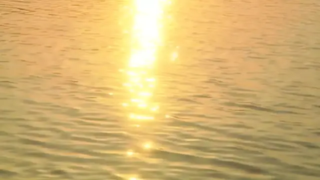 A Dream in the Realm of the Amazons &mdash;  Only Wanking for Jane