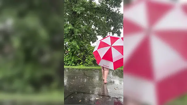 Wild Moments on a Rainy Saturday Afternoon