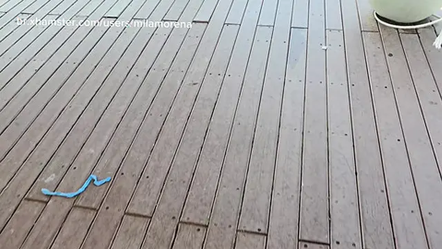 Sunday Saddle Lace Panties