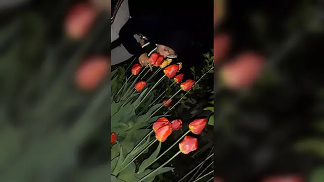 Invited next door for a flower show &mdash;  then got naughty😈 in the mouth)