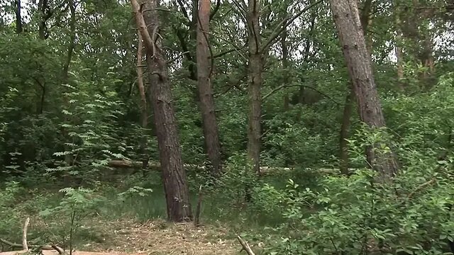 Insatiable German policewomen take control with giant asses