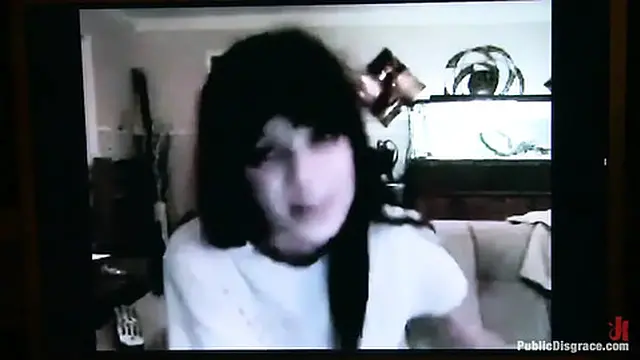 Wild Passionate Encounters