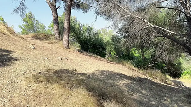 Stranger′s Hidden Path Led Me Out of the Woods