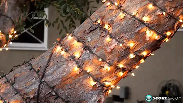 Codi craves a visit and some action