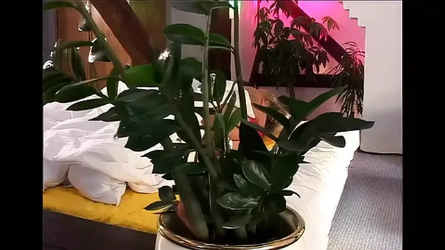 Hidden Lust Revealed