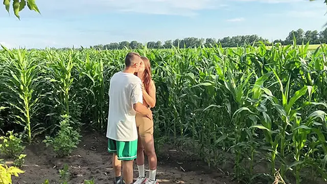 boyfriend and girlfriend engage in intimate act during secluded cornfield stroll