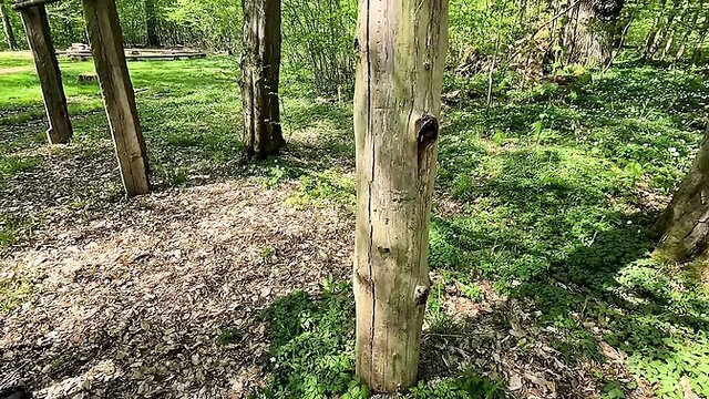 Slapping and Torture in Hardcore Training Session