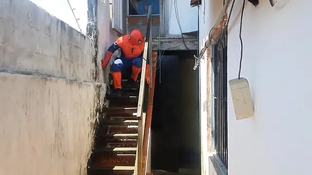 Big thick spider action with Cospley Alex Lime