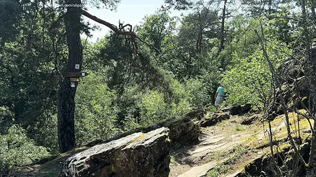 Big Ass🍑 Girl enjoys cock🌭 at the viewpoint - intense and risky sex