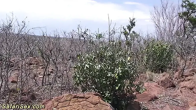 African threesome fuck orgy