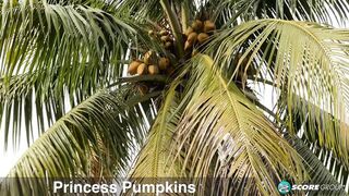 Poolside Princess: Boobs and bush to spare