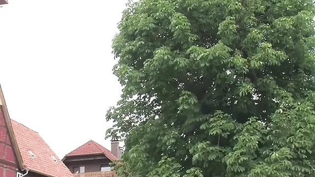 German outdoor milf - Sex