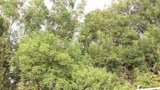 My passion for a big black cock...