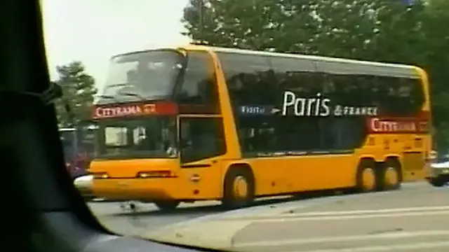 French mature woman enjoys intense car sex