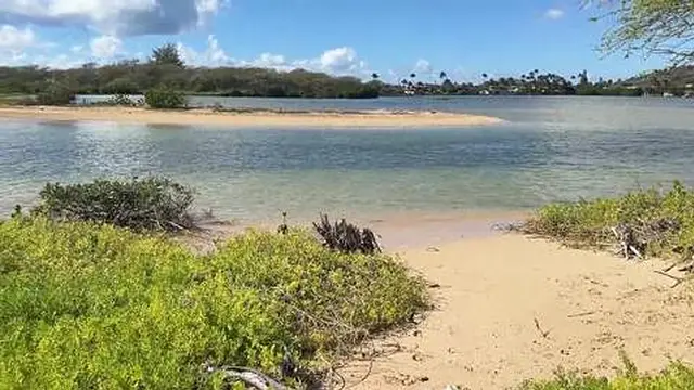 Paiko Fishpond, East Oahu, Hawaii