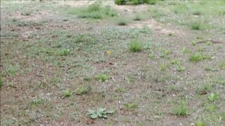 Outdoor outdoor masturbation on my woodland walk