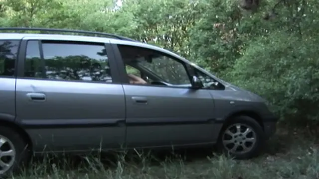 Brunette German slut with huge boobs gets fucked in nature