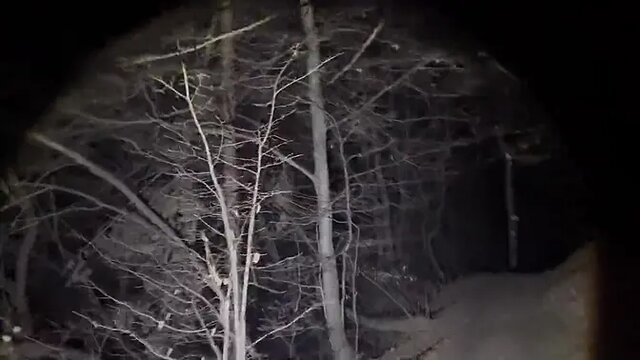 Night Hiking - Sexy MILF in a skimpy dress exposes her snatch