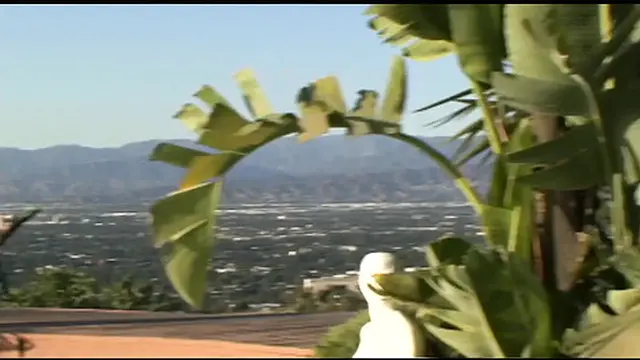 Two naughty lesbians playing with each other outdoor